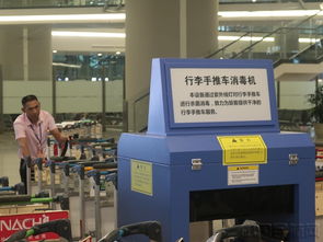 貫通愛心通道，虹橋機場迎接進博會 精品服務(wù)再升級